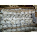 chinese fresh white braid garlic